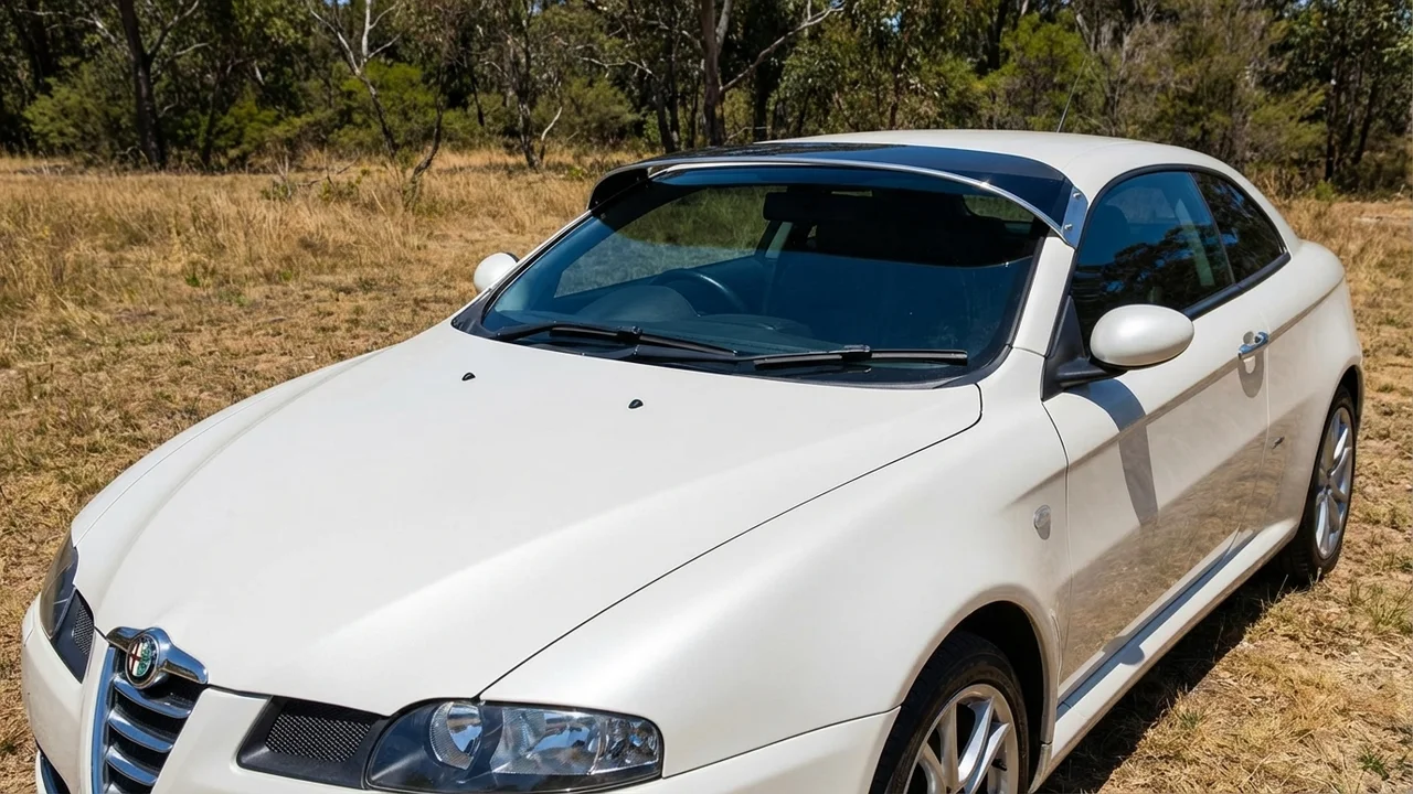 Alfa Romeo 428 Windscreen Sunvisor - 1