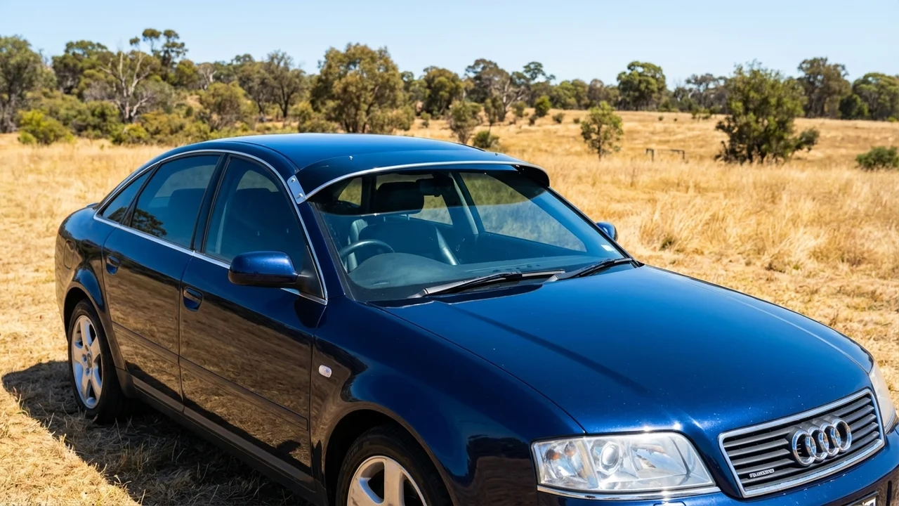 Audi 428 Windscreen Sunvisor - 1