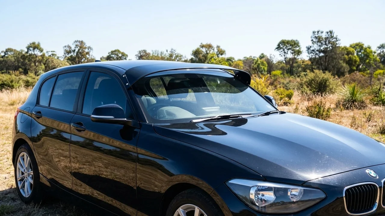 BMW 428 Windscreen Sunvisor - 1