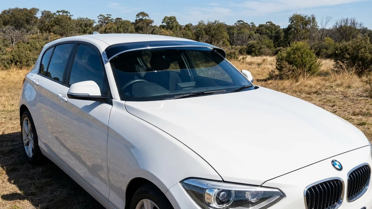 BMW 428 Windscreen Sunvisor - 1