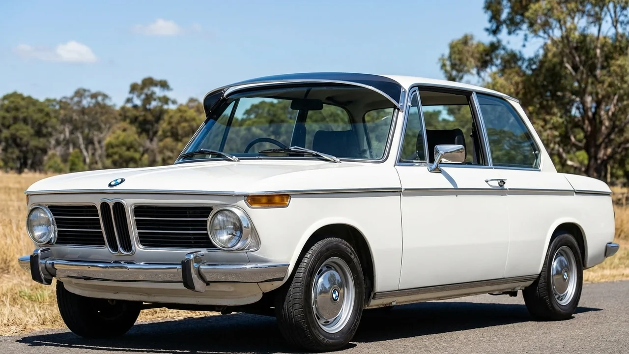 BMW 428 Windscreen Sunvisor - 1