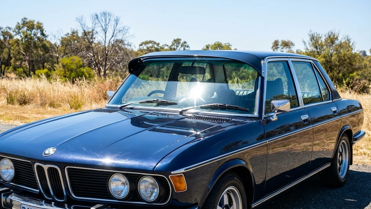 BMW 428 Windscreen Sunvisor - 1