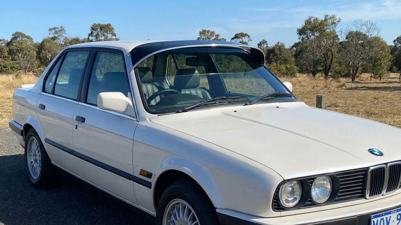 BMW 428 Windscreen Sunvisor - 1