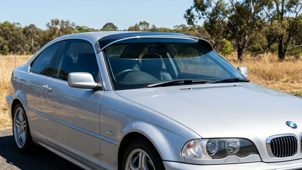 BMW 428 Windscreen Sunvisor - 1