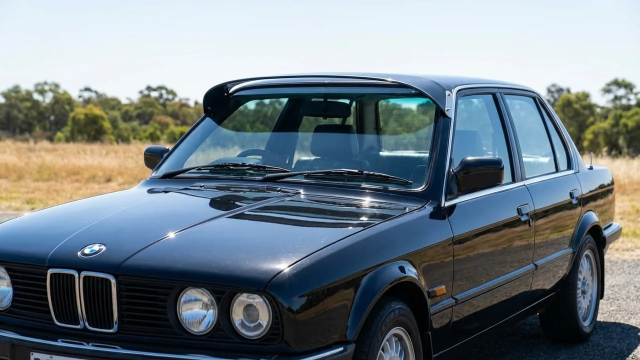 BMW 428 Windscreen Sunvisor - 1