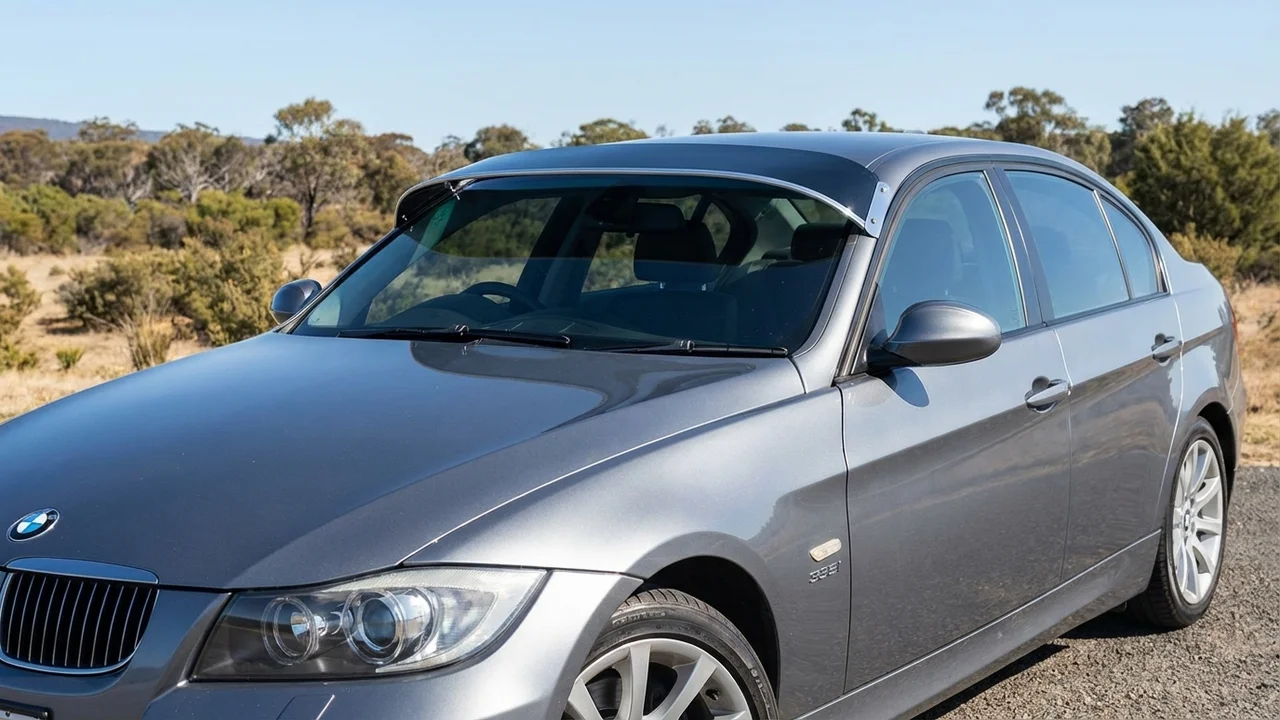 BMW 428 Windscreen Sunvisor - 1