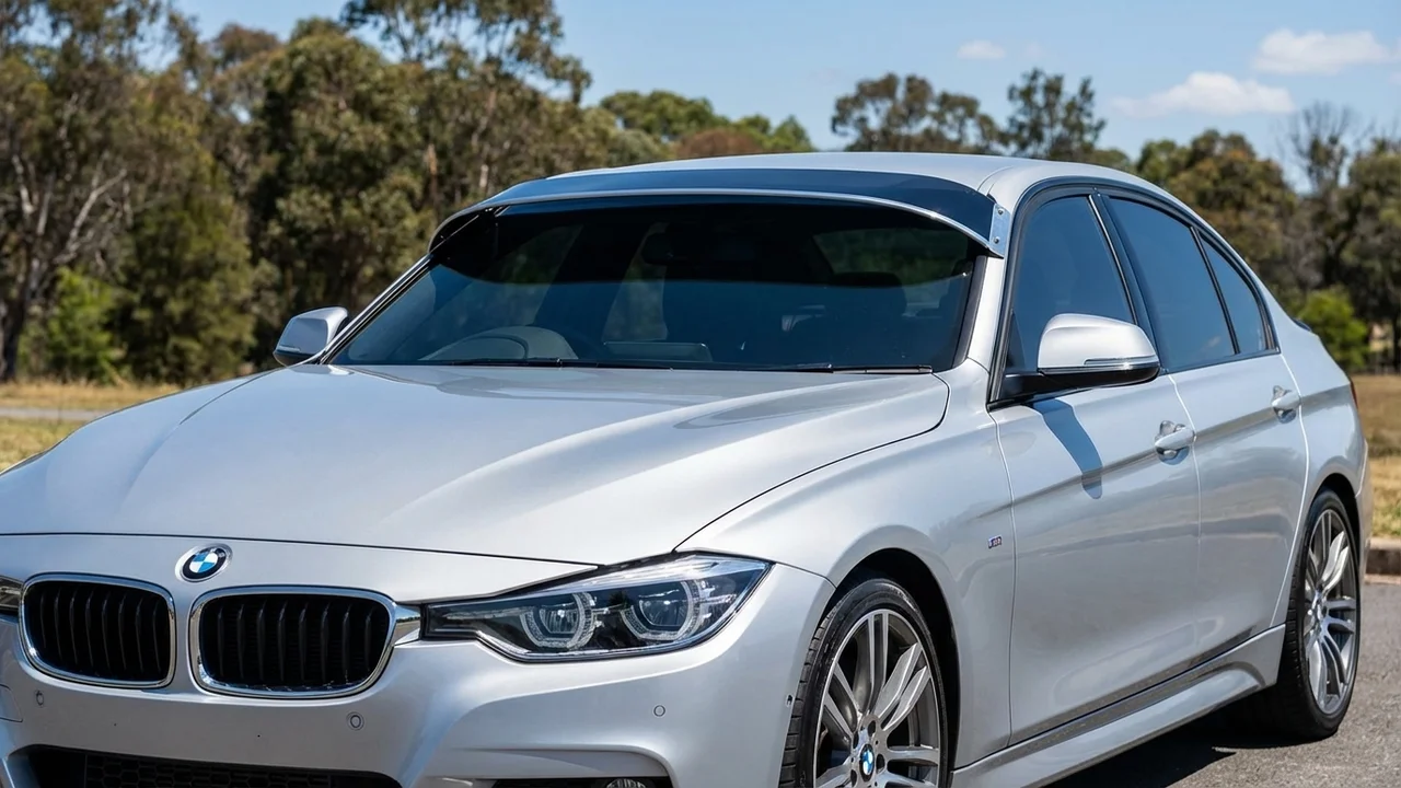 BMW 428 Windscreen Sunvisor - 1