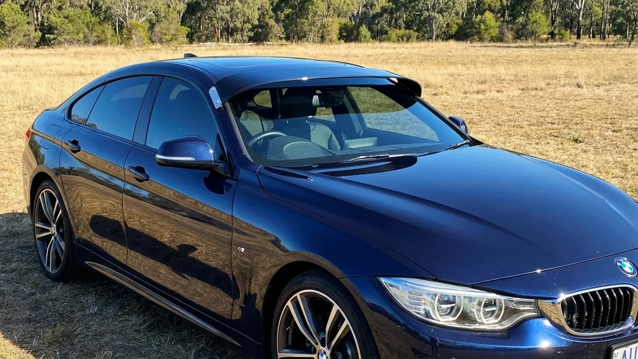 BMW 428 Windscreen Sunvisor - 1