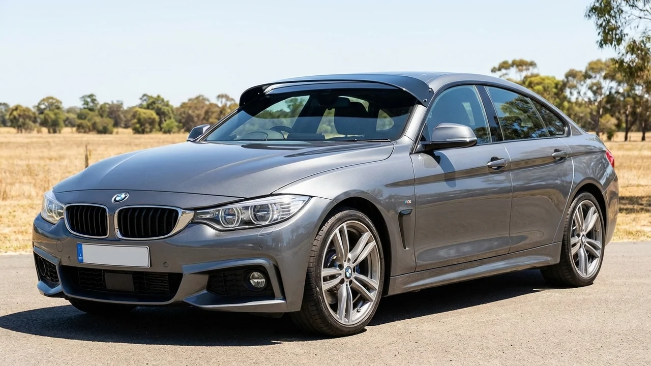 BMW 428 Windscreen Sunvisor - 1