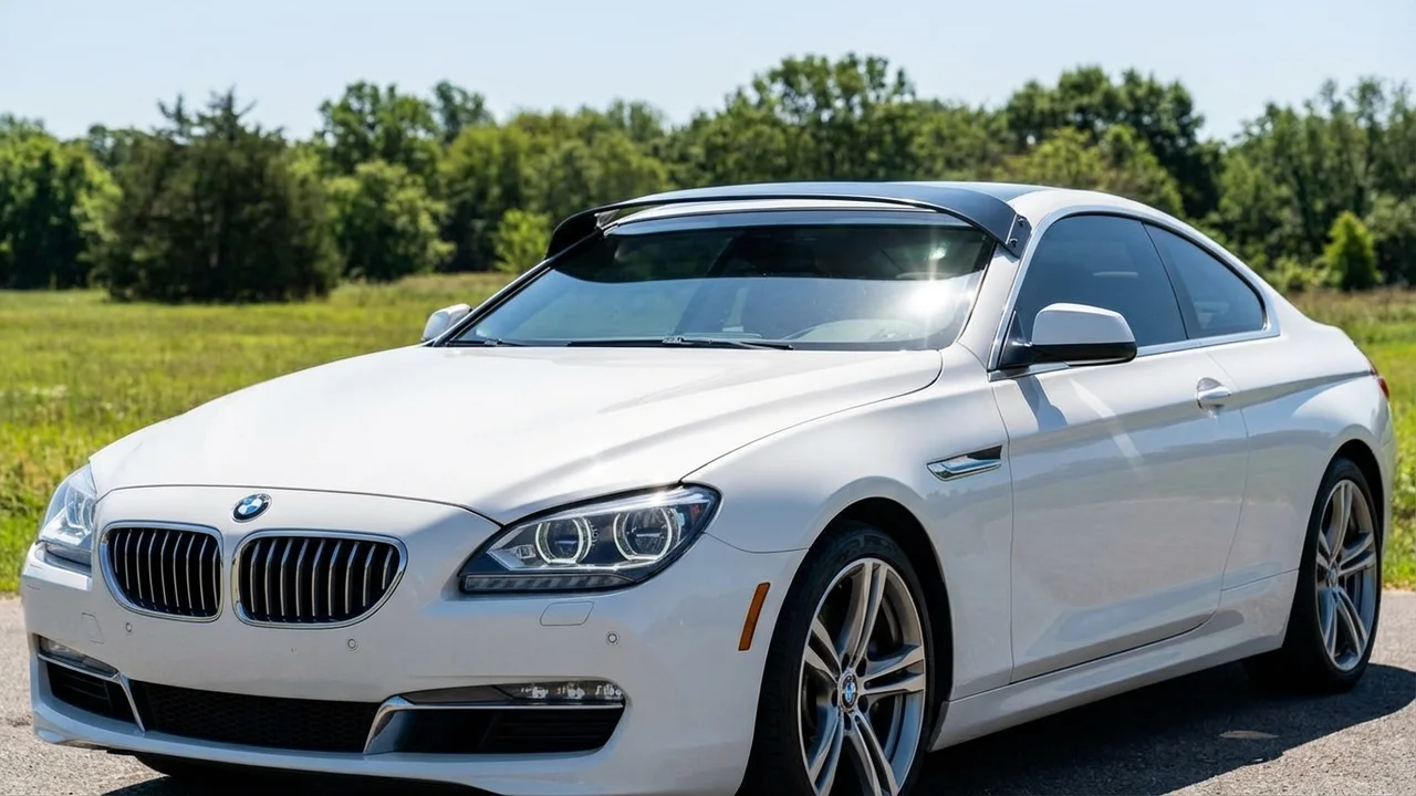 BMW 428 Windscreen Sunvisor - 1