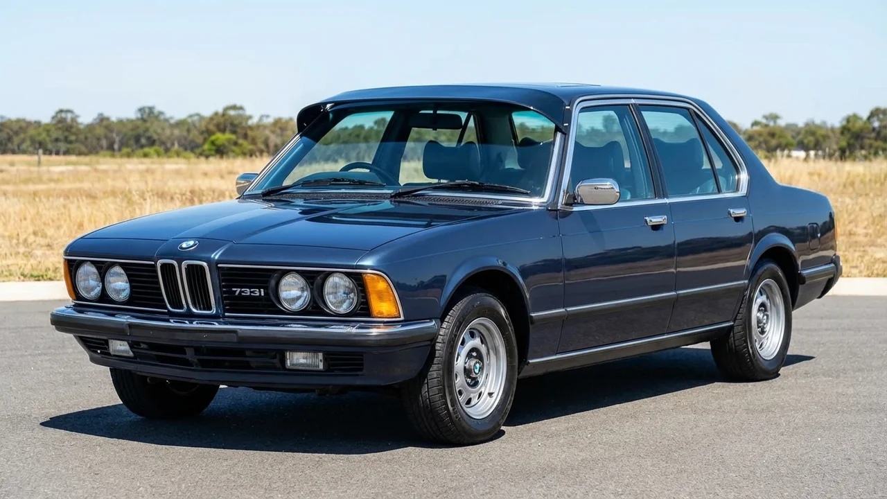 BMW 428 Windscreen Sunvisor - 1