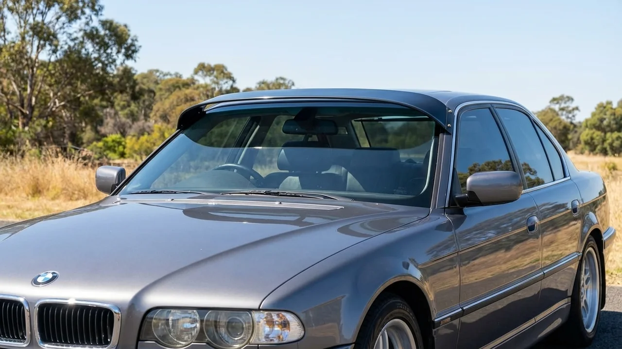 BMW 428 Windscreen Sunvisor - 1