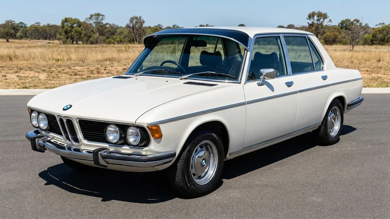 BMW 428 Windscreen Sunvisor - 1