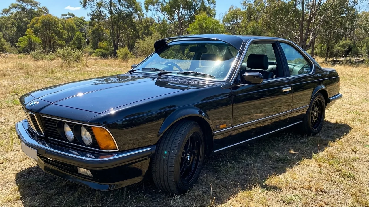 BMW 428 Windscreen Sunvisor - 1