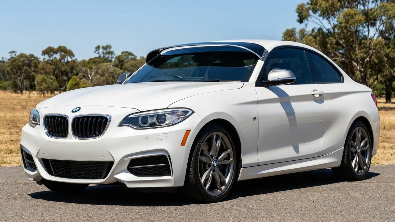 BMW 428 Windscreen Sunvisor - 1