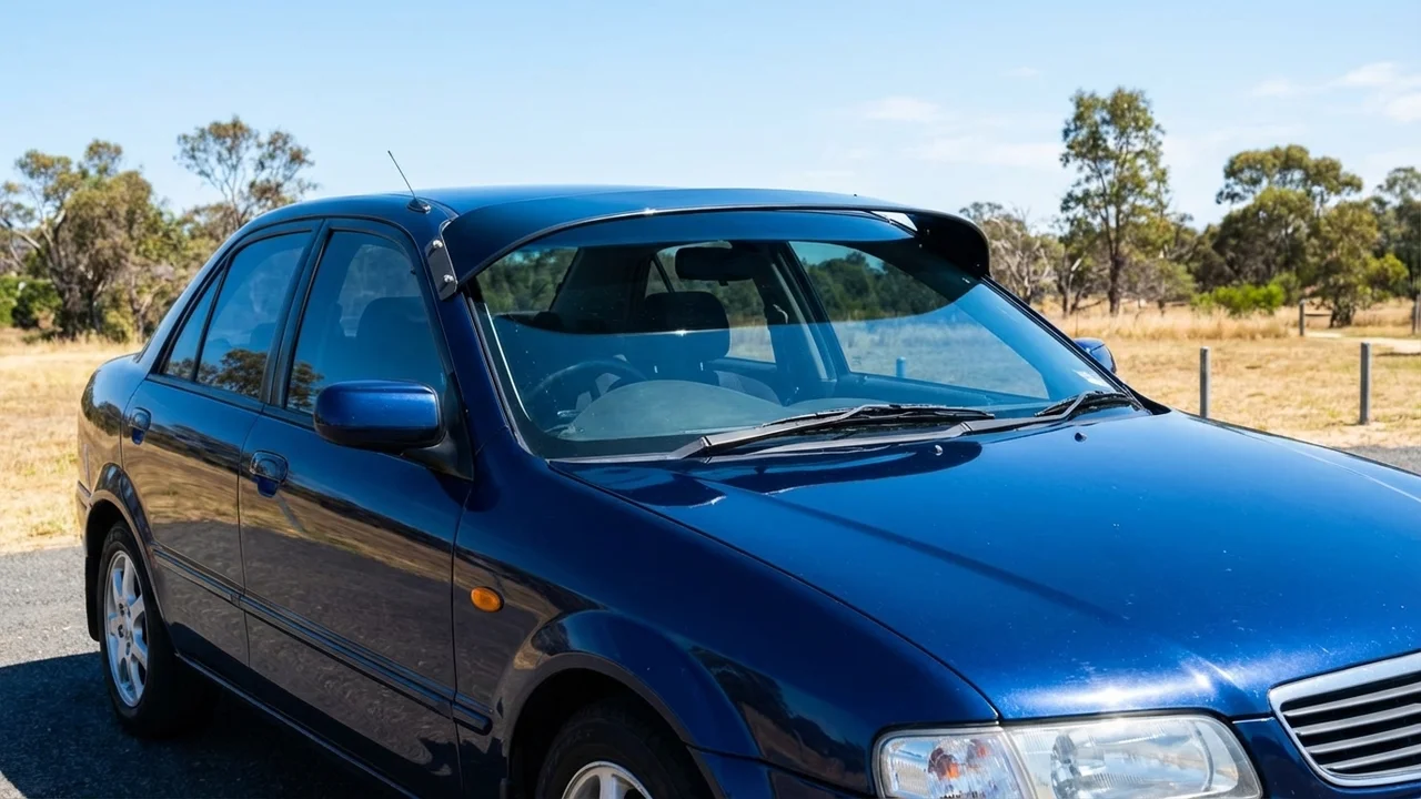 Eagle 428 Windscreen Sunvisor - 1