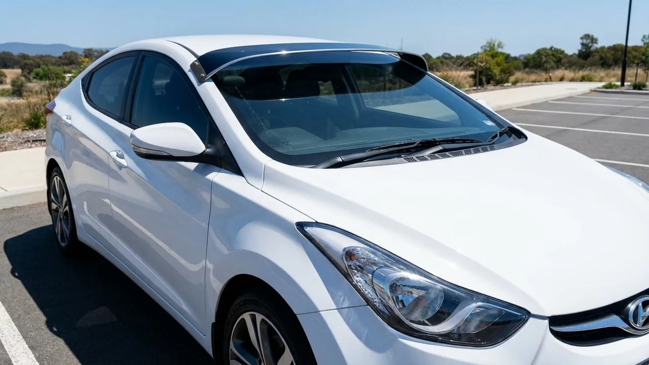 Hyundai 428 Windscreen Sunvisor - 1