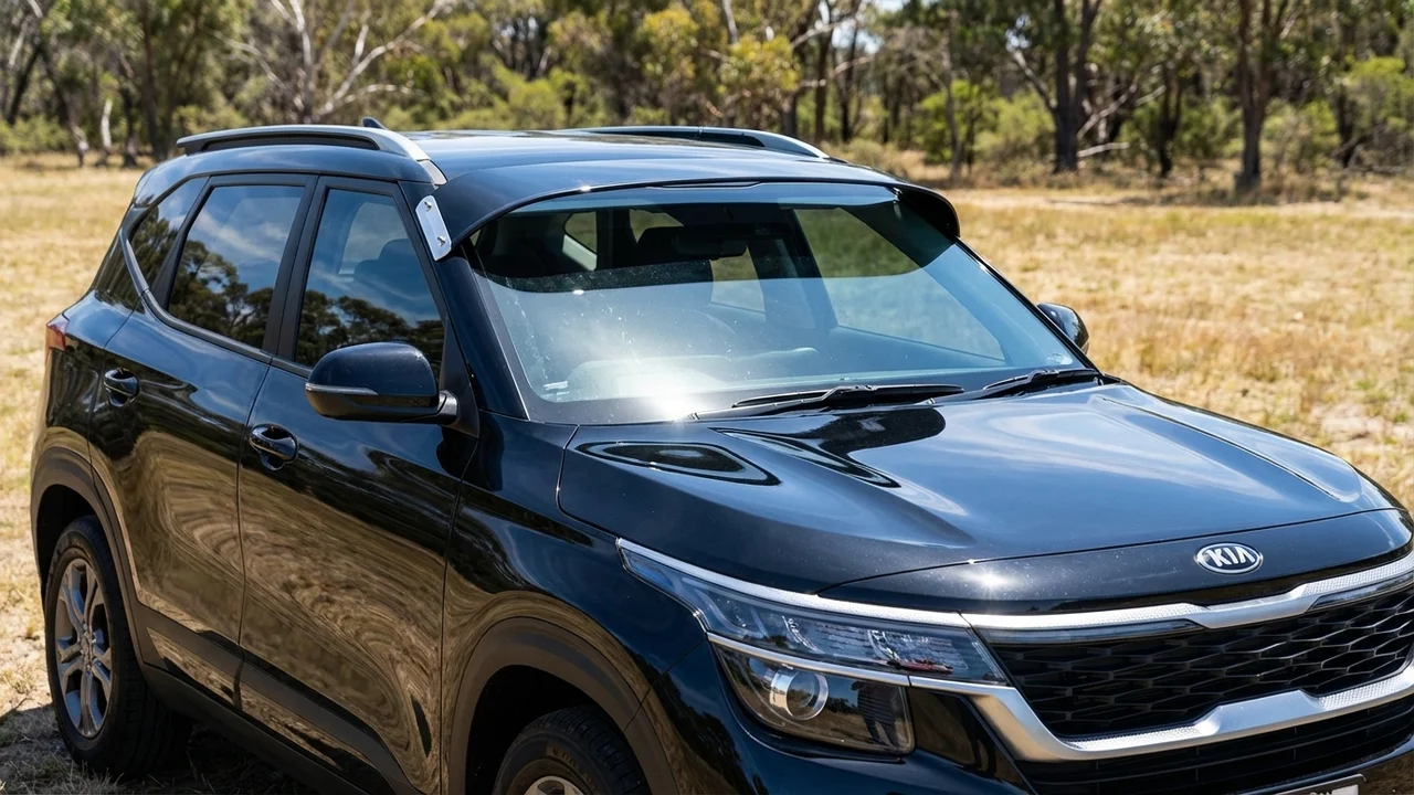 Kia 428 Windscreen Sunvisor - 1