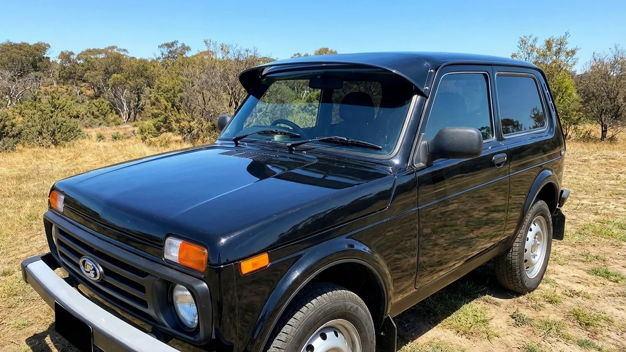 Lada 428 Windscreen Sunvisor - 1