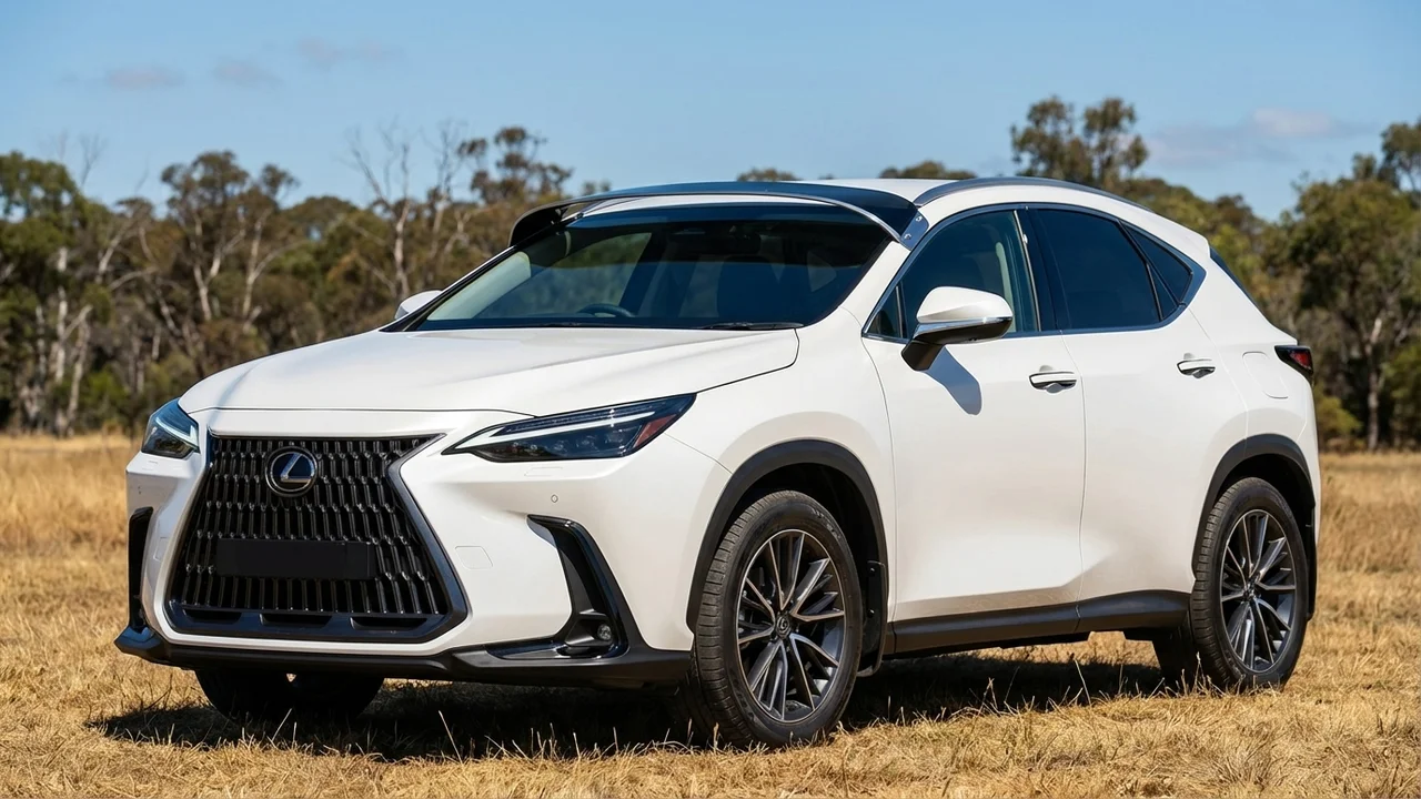 Lexus 428 Windscreen Sunvisor - 1