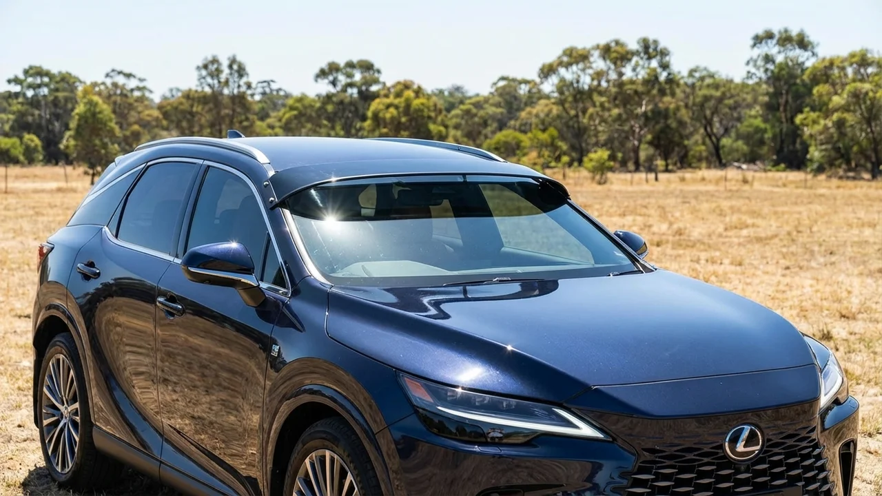 Lexus 428 Windscreen Sunvisor - 1