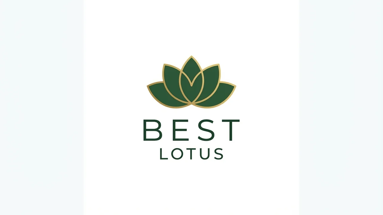Best Windscreen Sunvisor for Lotus - 1