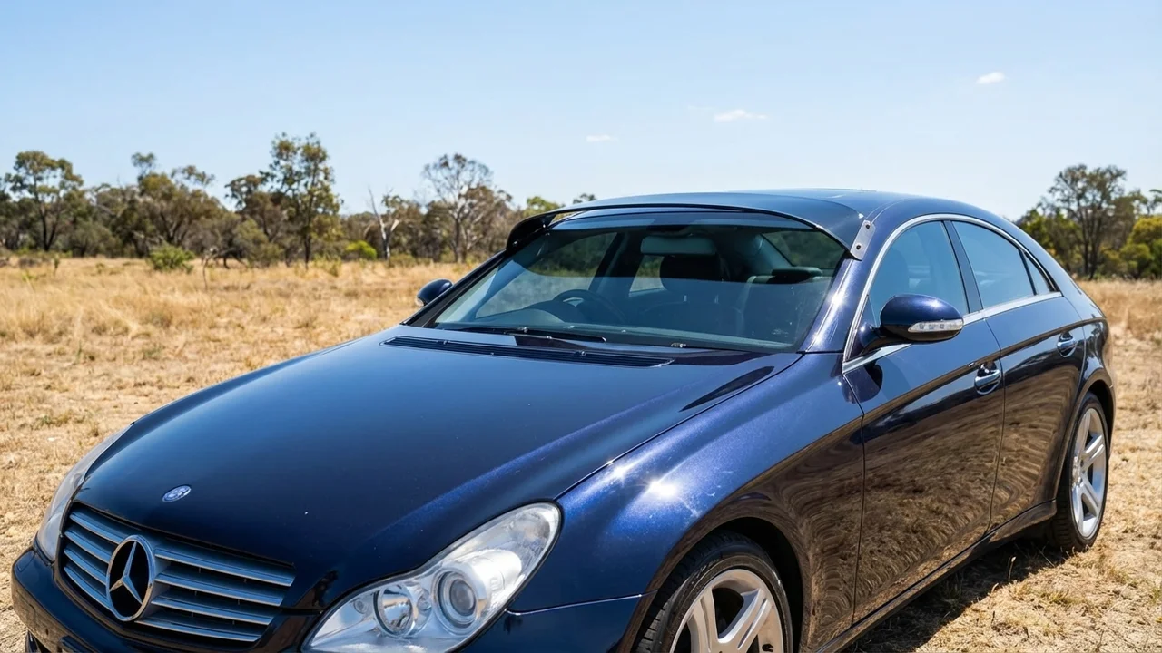 Pare-Soleil Pare-Brise Mercedes-Benz 428 - 1