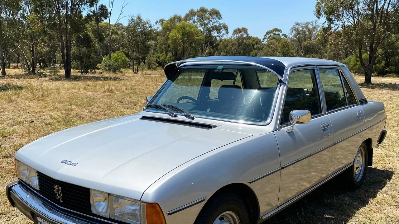 Peugeot 428 Windscreen Sunvisor - 1