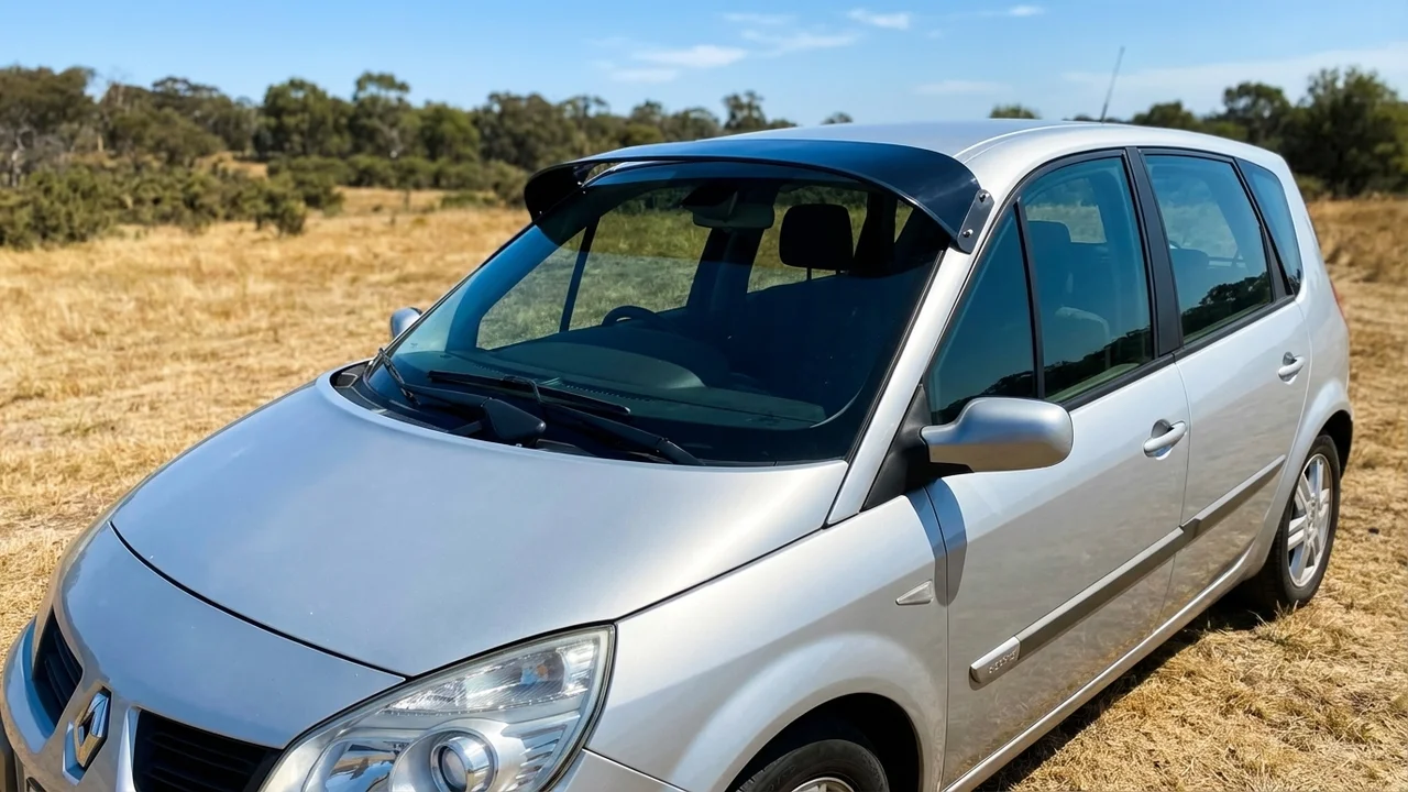 Renault 428 Windscreen Sunvisor - 1