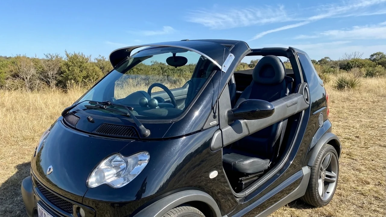 Smart 428 Windscreen Sunvisor - 1