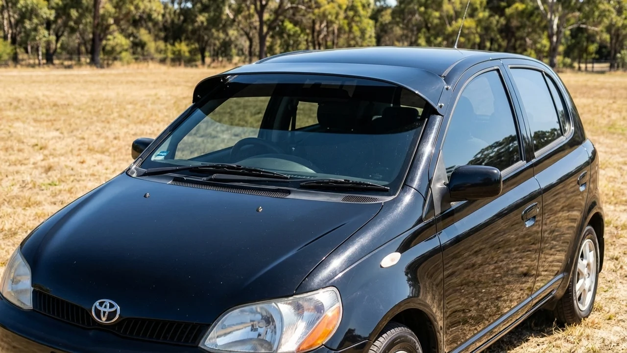 Toyota 428 Windscreen Sunvisor - 1