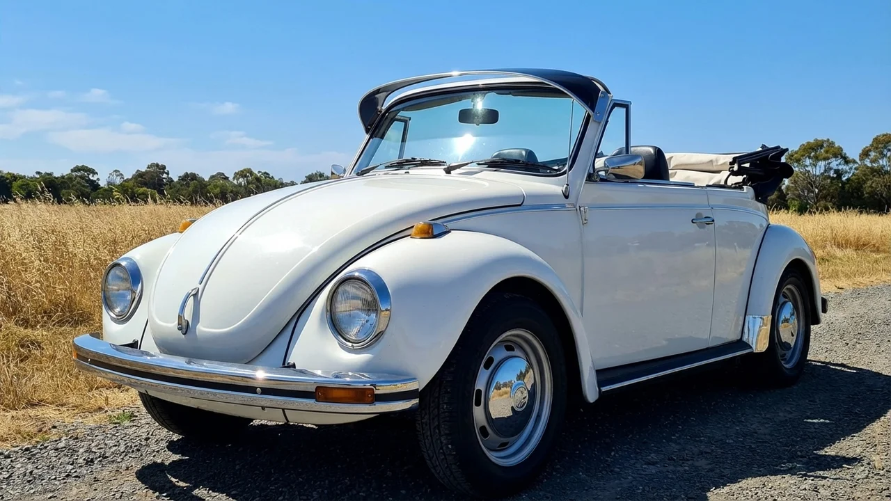 Volkswagen 428 Windscreen Sunvisor - 1