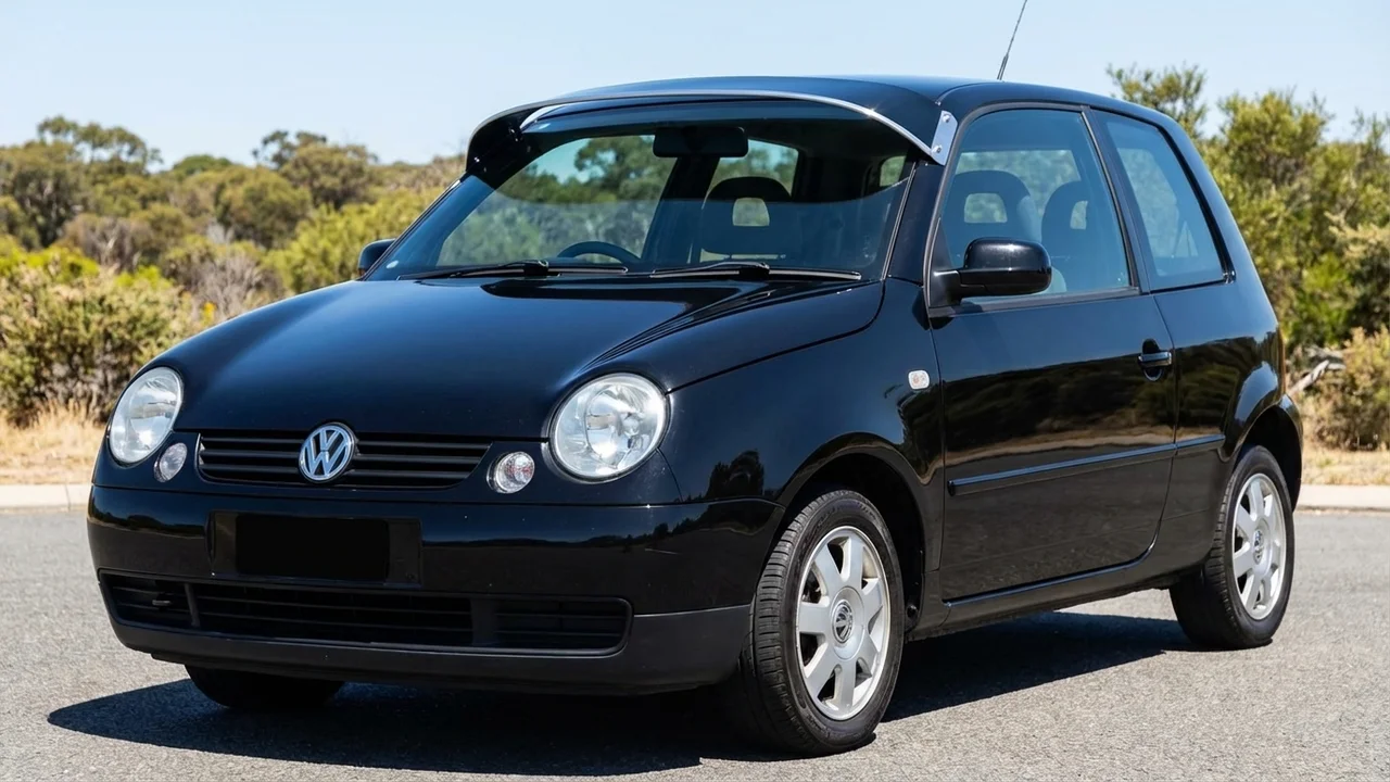 Volkswagen 428 Windscreen Sunvisor - 1