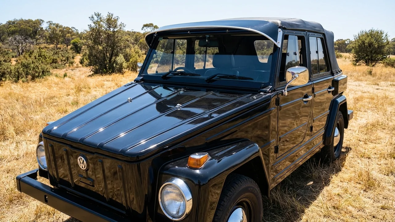 Volkswagen 428 Windscreen Sunvisor - 1