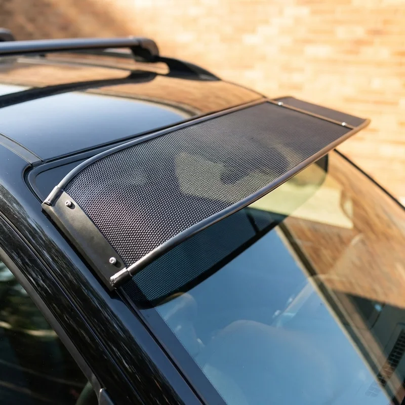 Alfa Romeo TZ Mesh Windscreen Sunvisor (1965 - 1965) - 1