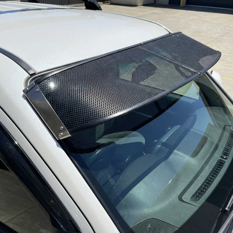 Ferrari Dino 246 GT Mesh Windscreen Sunvisor (1970 - 1973) - 1