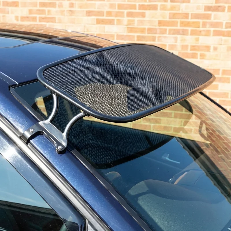 Renault R16 Mesh Windscreen Sunvisor (1969 - 1972) - 1